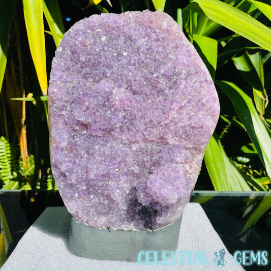 Amethyst Large Polished Standing Cluster with Concrete Base