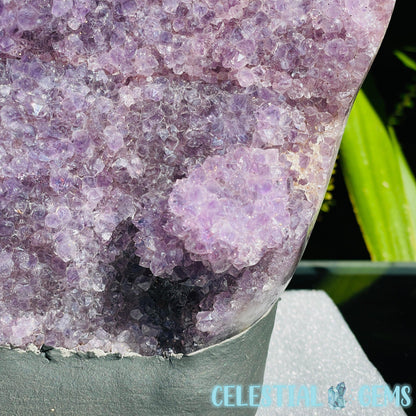 Amethyst Large Polished Standing Cluster with Concrete Base