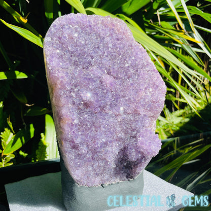 Amethyst Large Polished Standing Cluster with Concrete Base