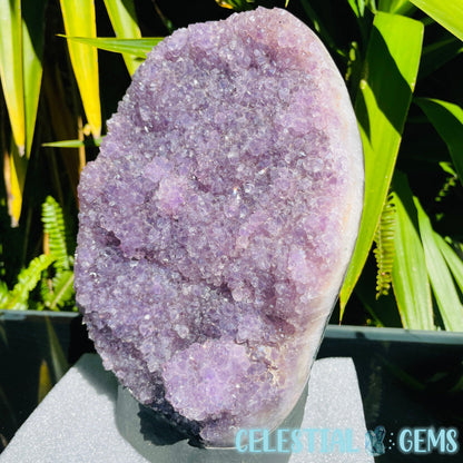 Amethyst Large Polished Standing Cluster with Concrete Base