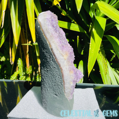 Amethyst Large Polished Standing Cluster with Concrete Base
