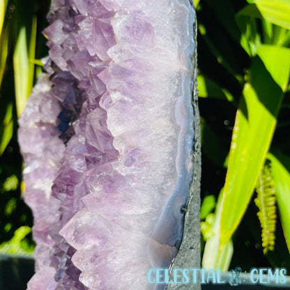 Amethyst Large Polished Standing Cluster with Concrete Base