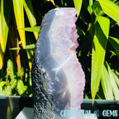 Amethyst Large Polished Standing Cluster with Concrete Base