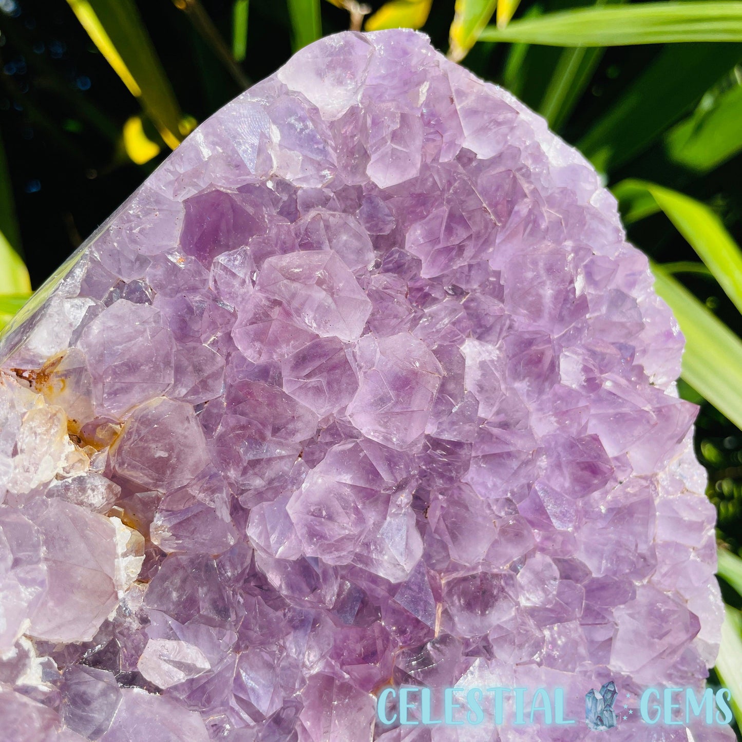 Amethyst Large Polished Standing Cluster with Concrete Base