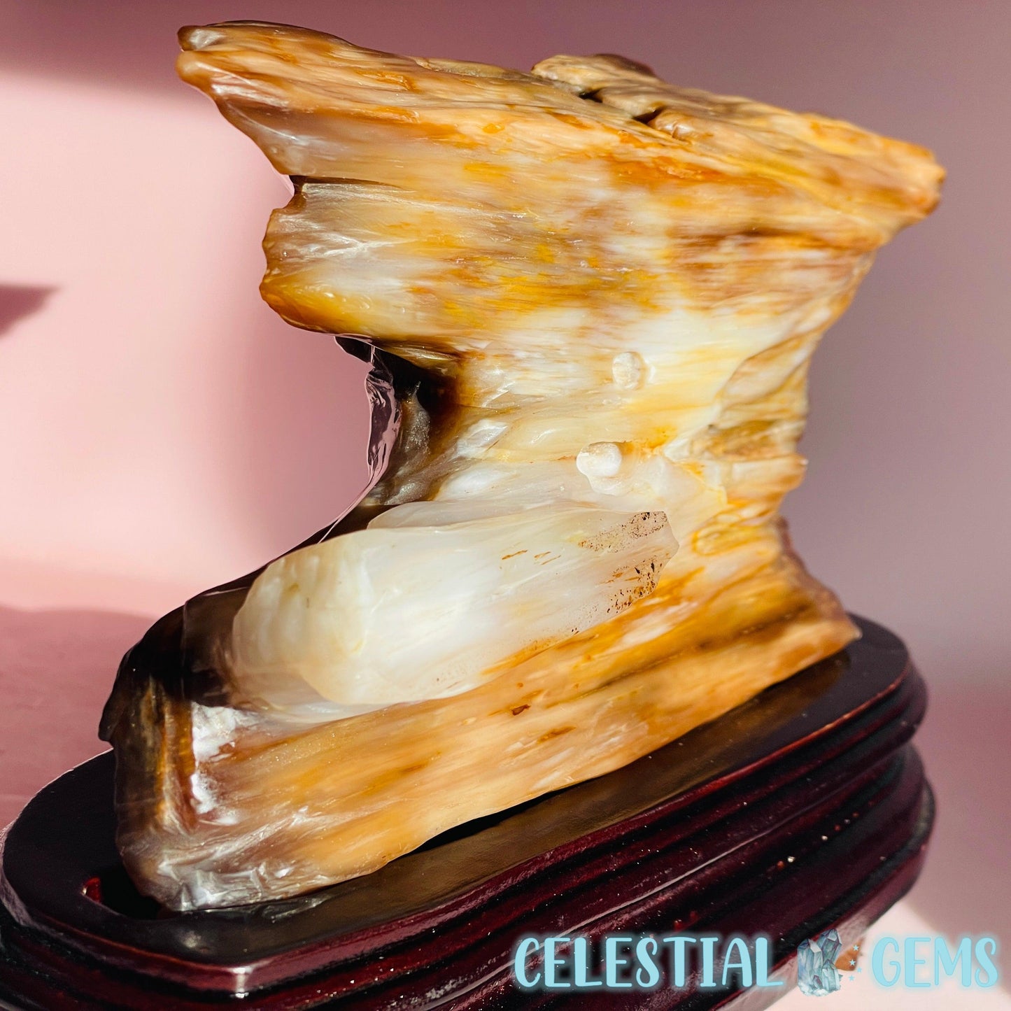 Agatized Petrified Fossil Wood Polished Large Chunk on Wooden Stand