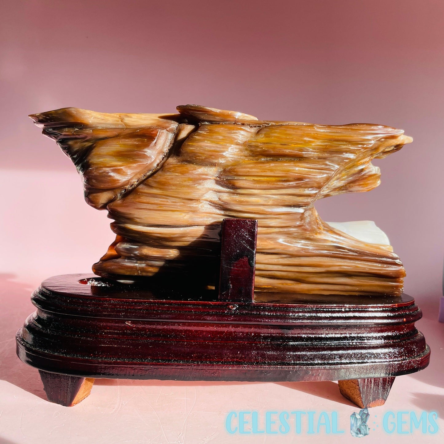 Agatized Petrified Fossil Wood Polished Large Chunk on Wooden Stand