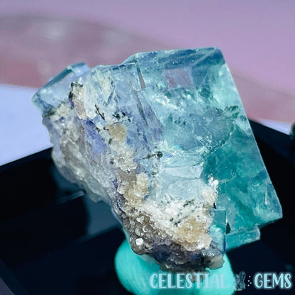 RARE Yaogangxian Colour-Zoned Fluorite with Mica Mini Cluster Specimen