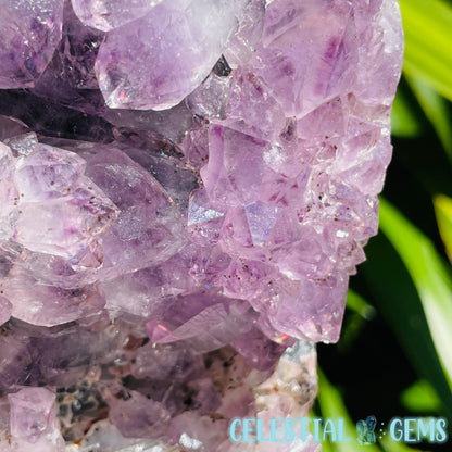 Amethyst Large Polished Standing Cluster with Concrete Base