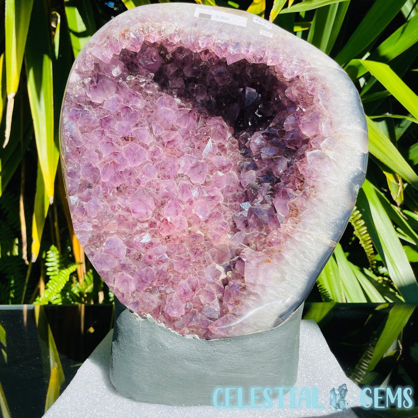 Amethyst XL Polished Standing Cluster with Concrete Base