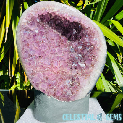 Amethyst XL Polished Standing Cluster with Concrete Base