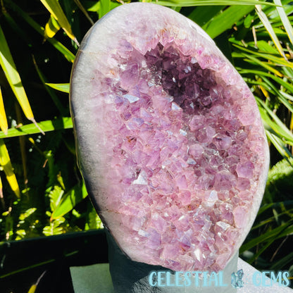 Amethyst XL Polished Standing Cluster with Concrete Base