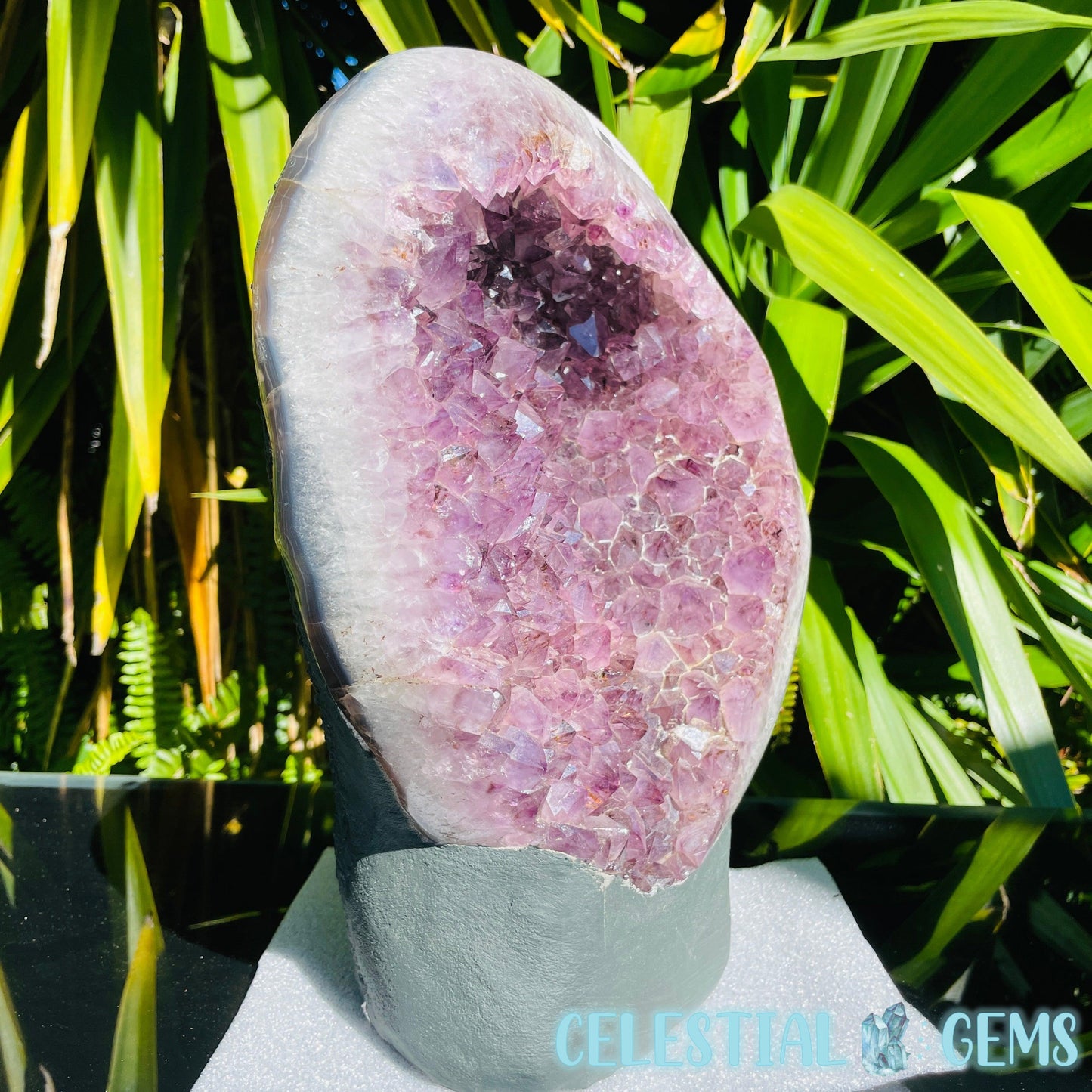 Amethyst XL Polished Standing Cluster with Concrete Base