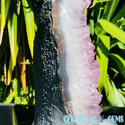 Amethyst XL Polished Standing Cluster with Concrete Base