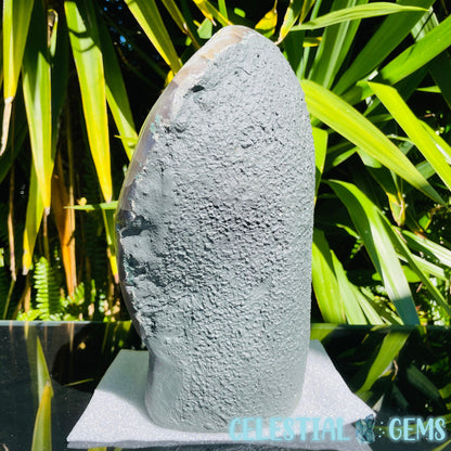 Amethyst XL Polished Standing Cluster with Concrete Base