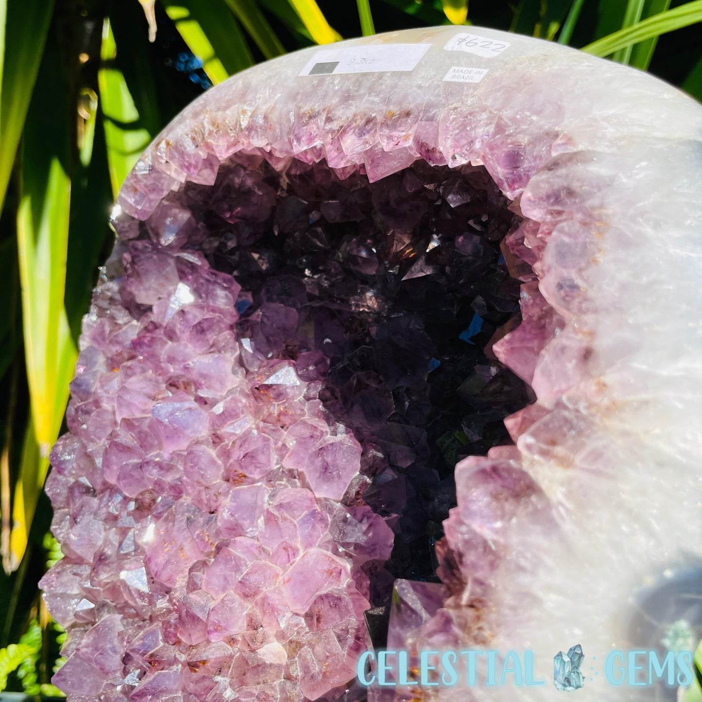 Amethyst XL Polished Standing Cluster with Concrete Base