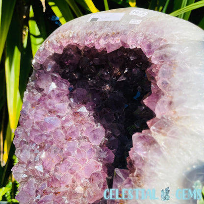 Amethyst XL Polished Standing Cluster with Concrete Base