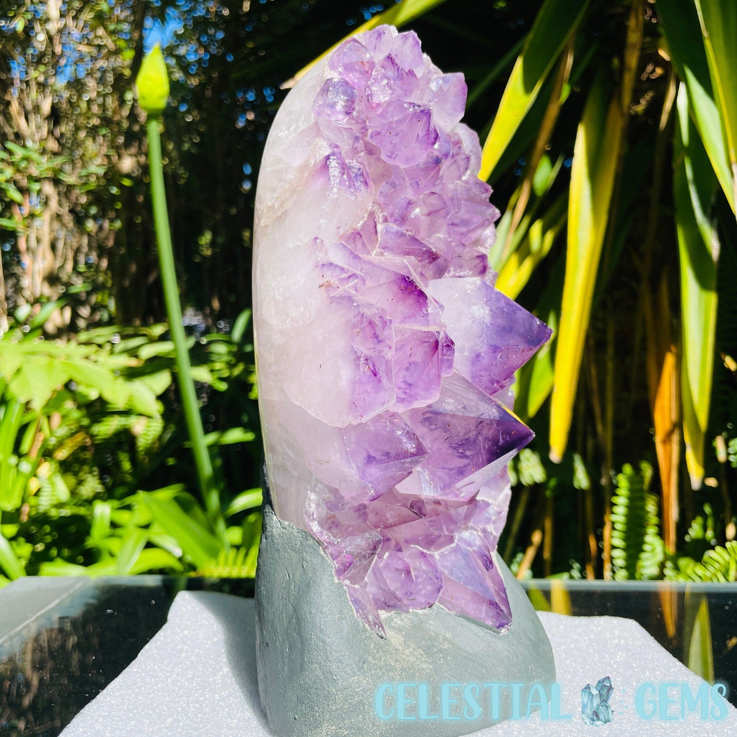 Amethyst Large Polished Standing Cluster with Concrete Base