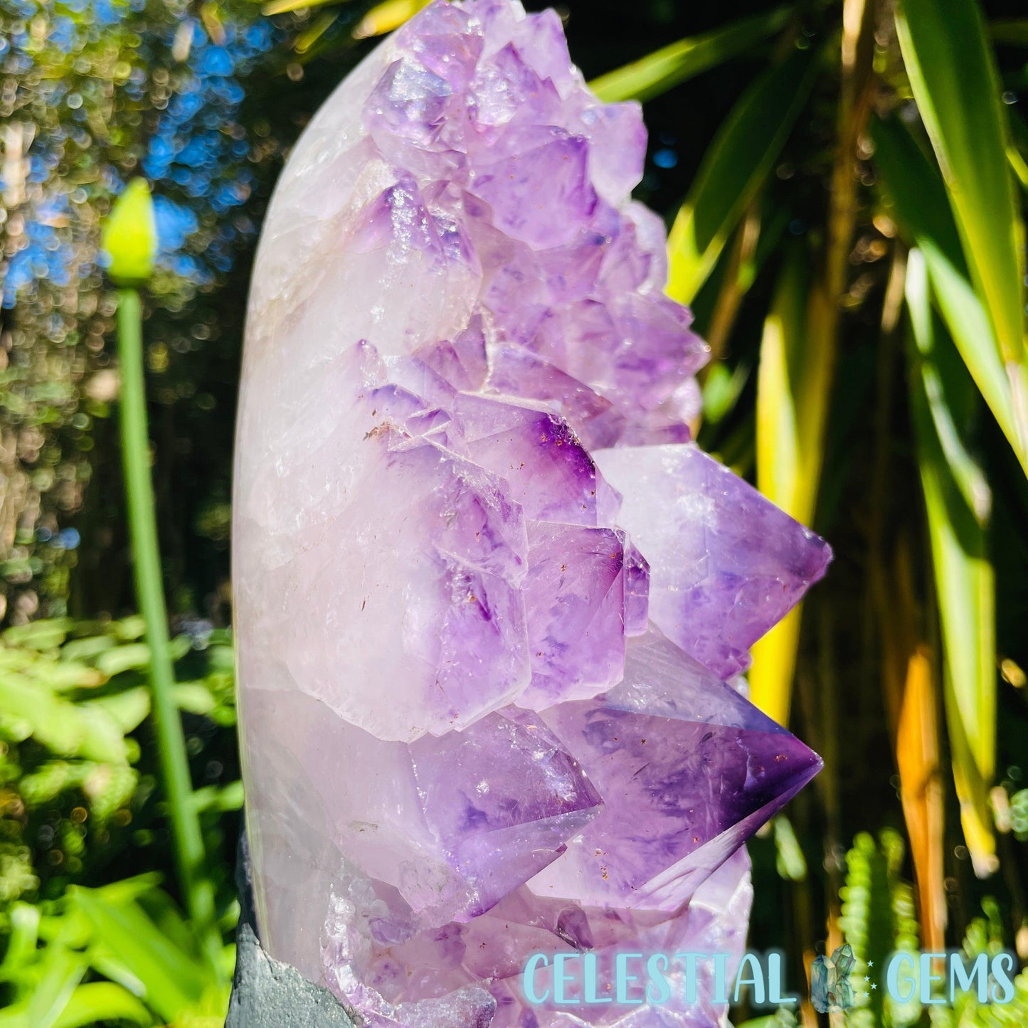 Amethyst Large Polished Standing Cluster with Concrete Base