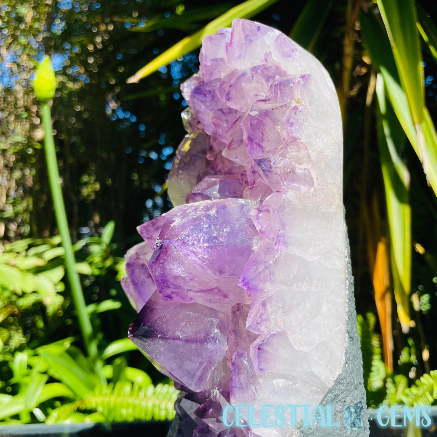 Amethyst Large Polished Standing Cluster with Concrete Base