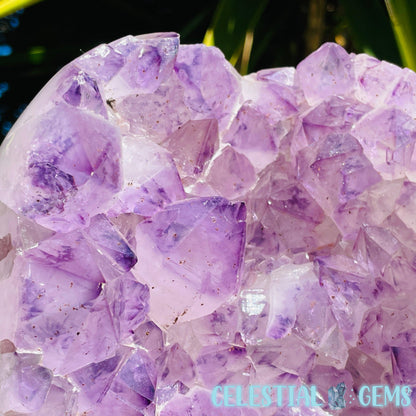 Amethyst Large Polished Standing Cluster with Concrete Base