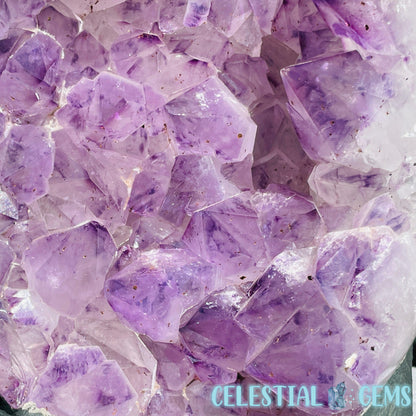 Amethyst Large Polished Standing Cluster with Concrete Base