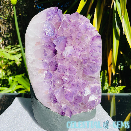 Amethyst Large Polished Standing Cluster with Concrete Base