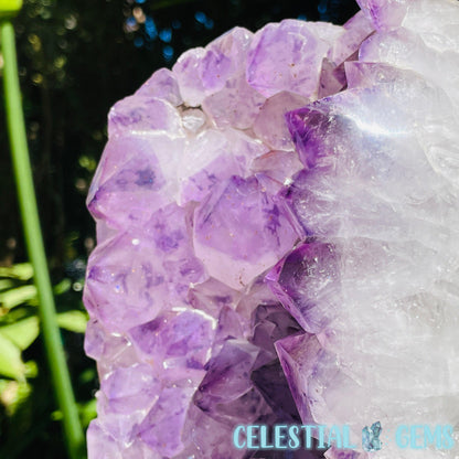 Amethyst Large Polished Standing Cluster with Concrete Base