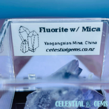 RARE Yaogangxian Fluorite with Mica Mini Cluster Specimen