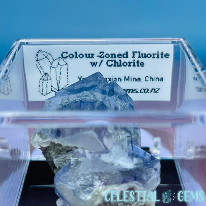 RARE Yaogangxian Colour-Zoned Fluorite with Chlorite Mini Cluster Specimen