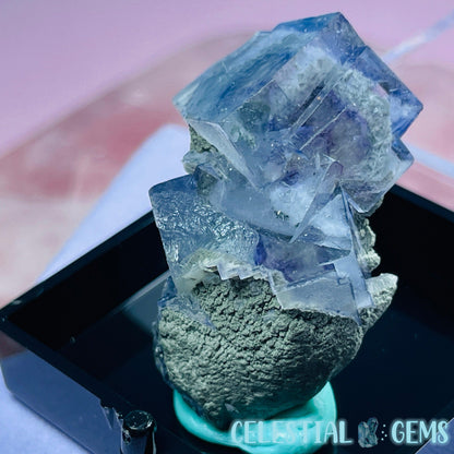 RARE Yaogangxian Colour-Zoned Fluorite with Chlorite Mini Cluster Specimen