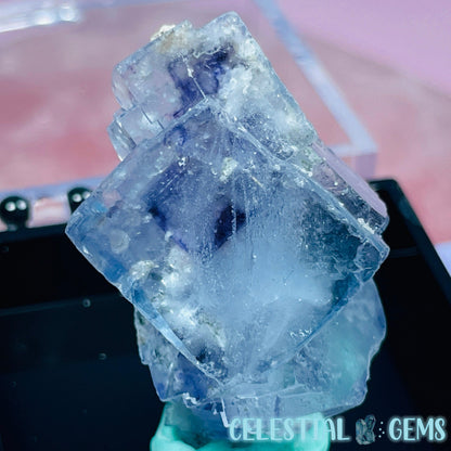 RARE Yaogangxian Colour-Zoned Fluorite with Mica Mini Cluster Specimen