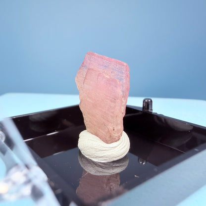 Rare Mangano Axinite Crystal Specimen in Box