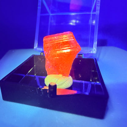 Rare Mangano Axinite Crystal Specimen in Box