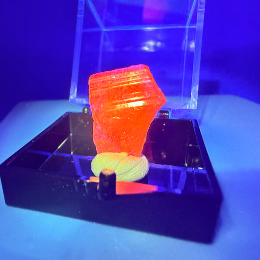Rare Mangano Axinite Crystal Specimen in Box