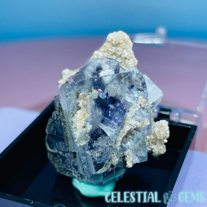 RARE Yaogangxian Colour-Zoned Fluorite with Mica + Chlorite Mini Cluster Specimen