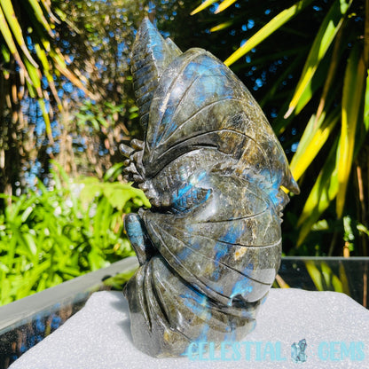 Labradorite Dragon Castle Large Carving