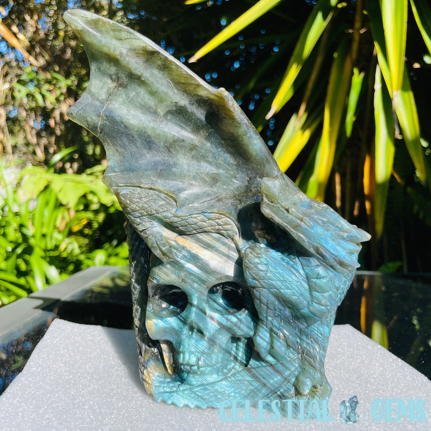 Labradorite Skull Dragon Large Carving
