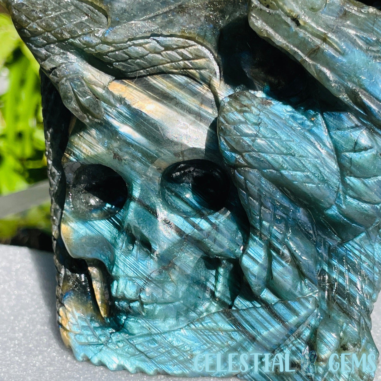 Labradorite Skull Dragon Large Carving