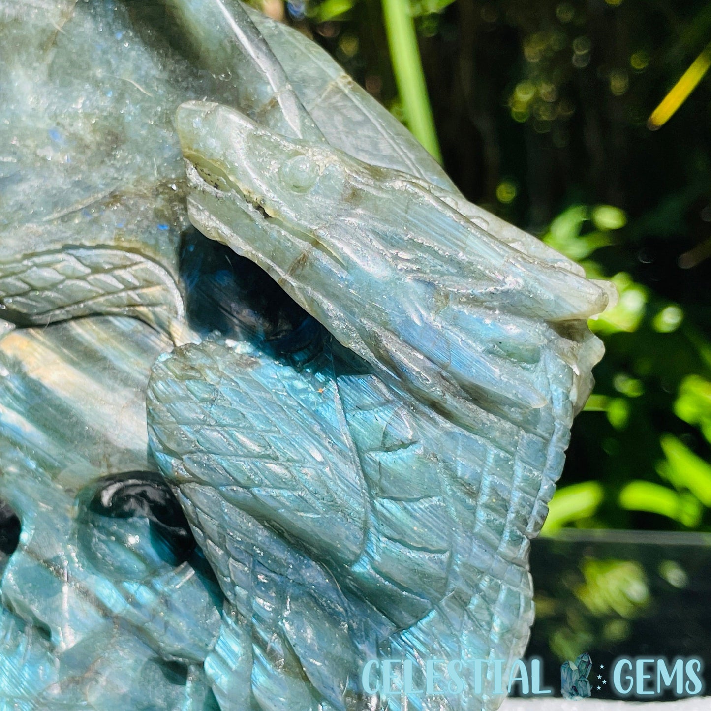 Labradorite Skull Dragon Large Carving
