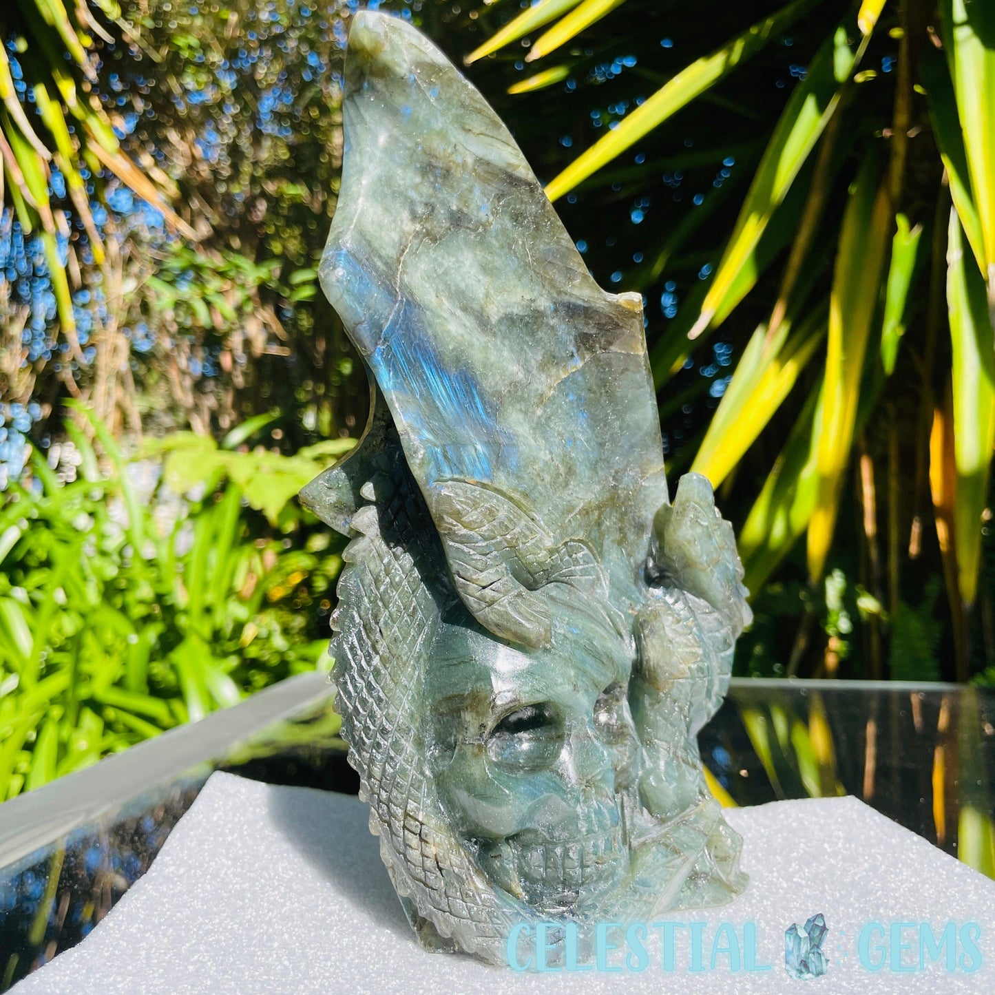Labradorite Skull Dragon Large Carving