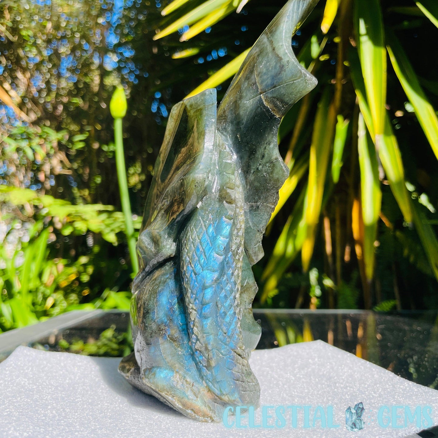 Labradorite Skull Dragon Large Carving