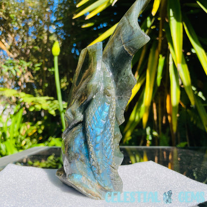 Labradorite Skull Dragon Large Carving