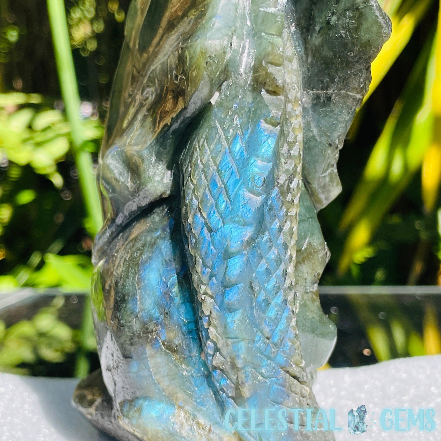 Labradorite Skull Dragon Large Carving