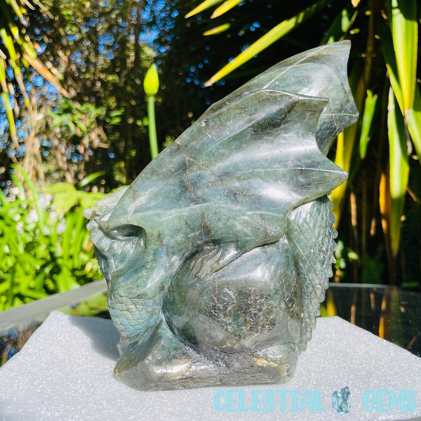 Labradorite Skull Dragon Large Carving