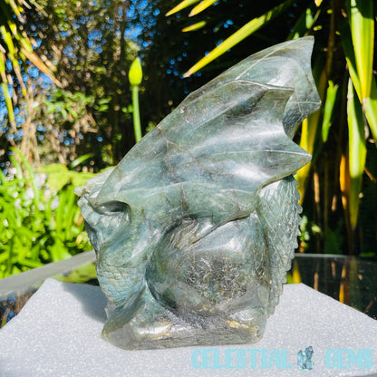 Labradorite Skull Dragon Large Carving