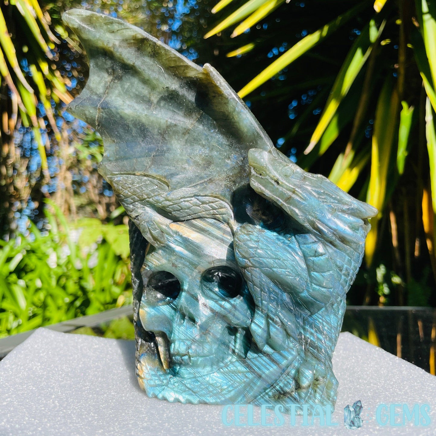 Labradorite Skull Dragon Large Carving