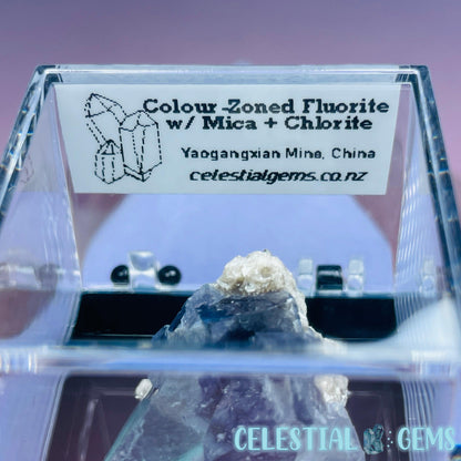 RARE Yaogangxian Colour-Zoned Fluorite with Mica + Chlorite Mini Cluster Specimen