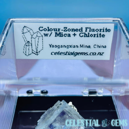 RARE Yaogangxian Colour-Zoned Fluorite with Mica + Chlorite Mini Cluster Specimen