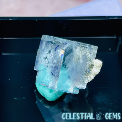 RARE Yaogangxian Colour-Zoned Fluorite with Mica + Chlorite Mini Cluster Specimen