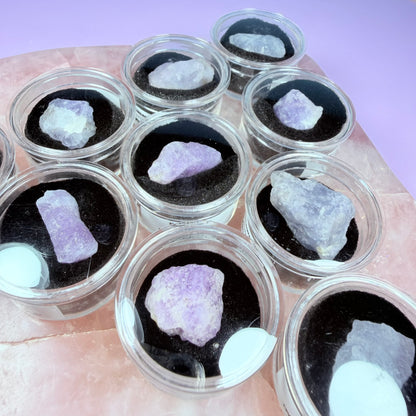 Hackmanite Crystal Specimen in Pottle
